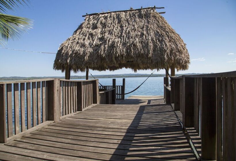 هتل Gringo Perdido