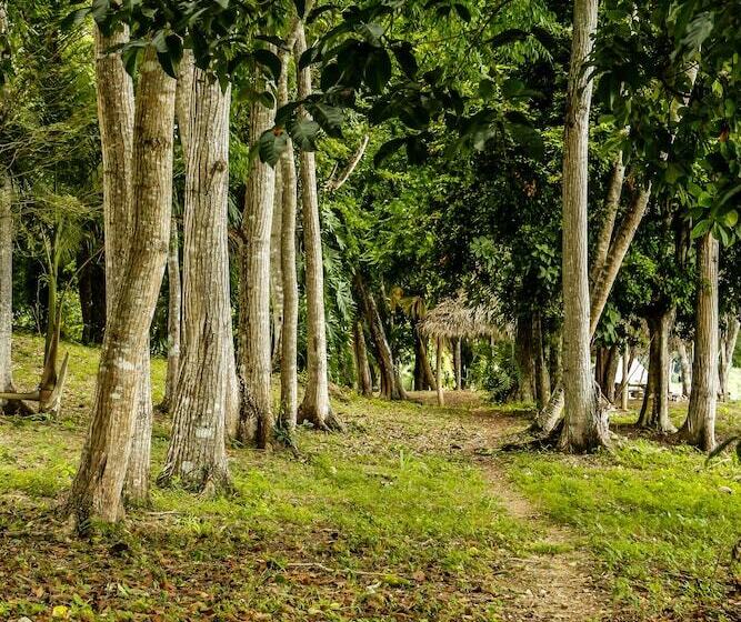 هتل Gringo Perdido