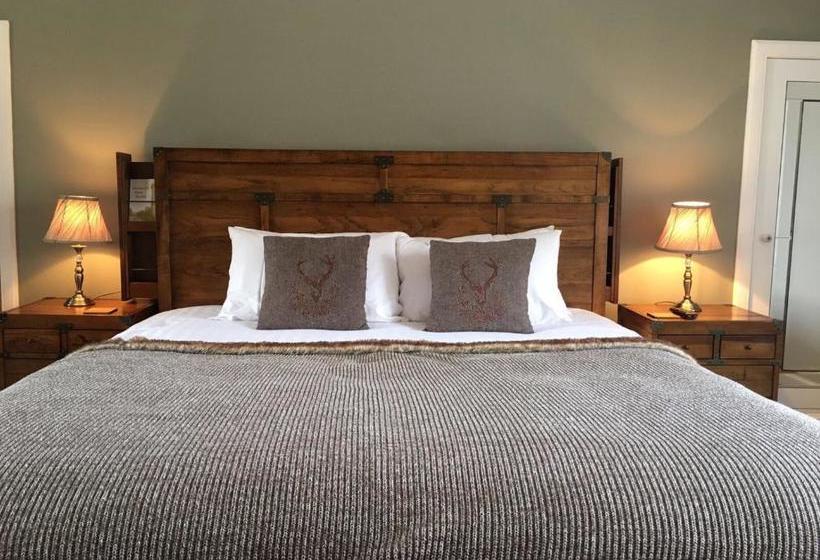 Hotell The Newport Restaurant With Rooms