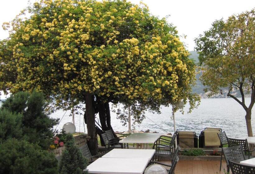 Piccolo Hotel Direkt Am See