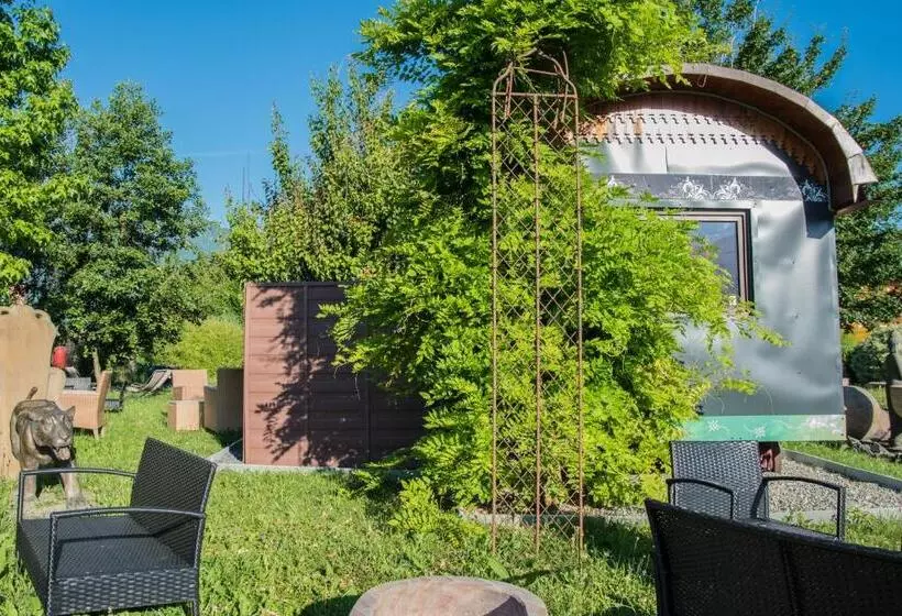 Crazy Lounge B&b