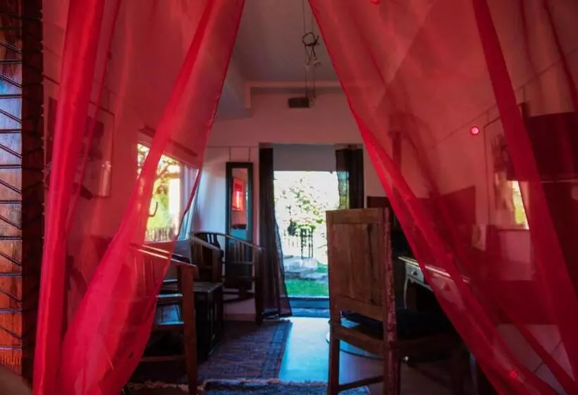 Crazy Lounge B&b