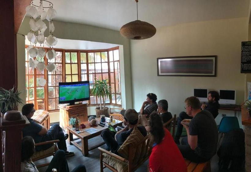 Backpacker's Hostel Iquique