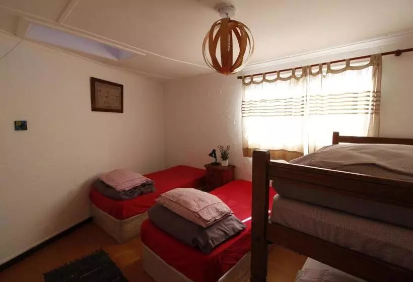 Backpacker's Hostel Iquique