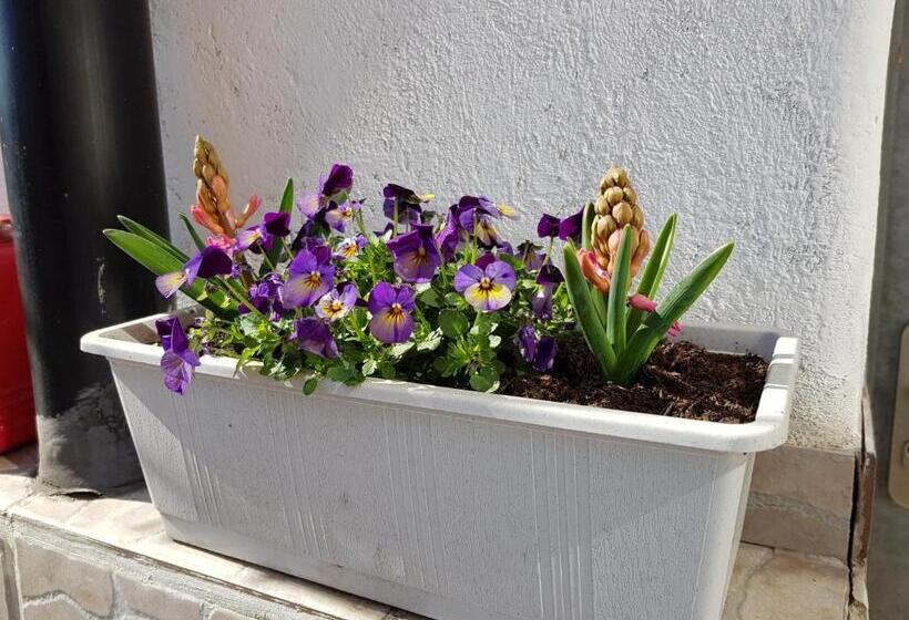 צימר Garni Hotel Mühletal