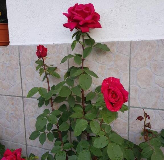 צימר Garni Hotel Mühletal