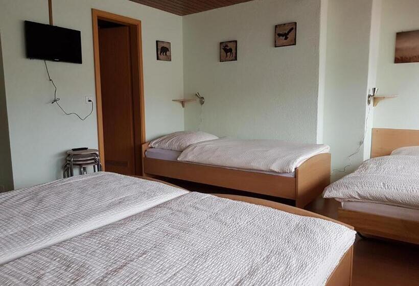 צימר Garni Hotel Mühletal