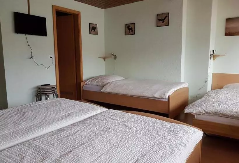 ベッドアンドブレックファースト Garni Hotel Mühletal