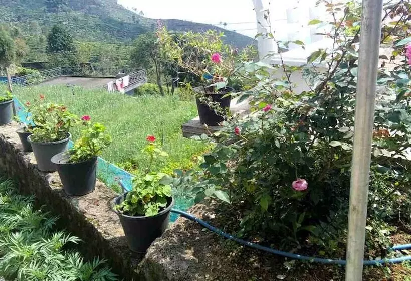 ホテル Amaya View Guest Inn