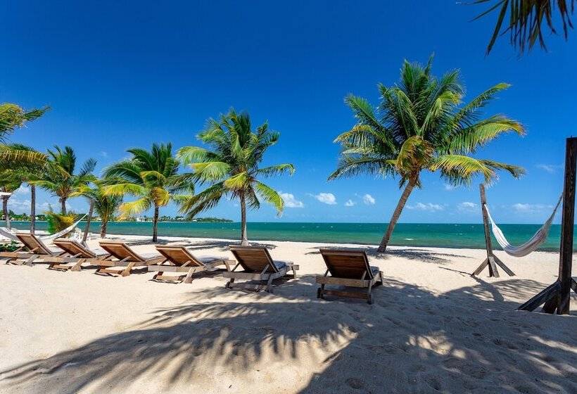 فندق The Ellysian Boutique