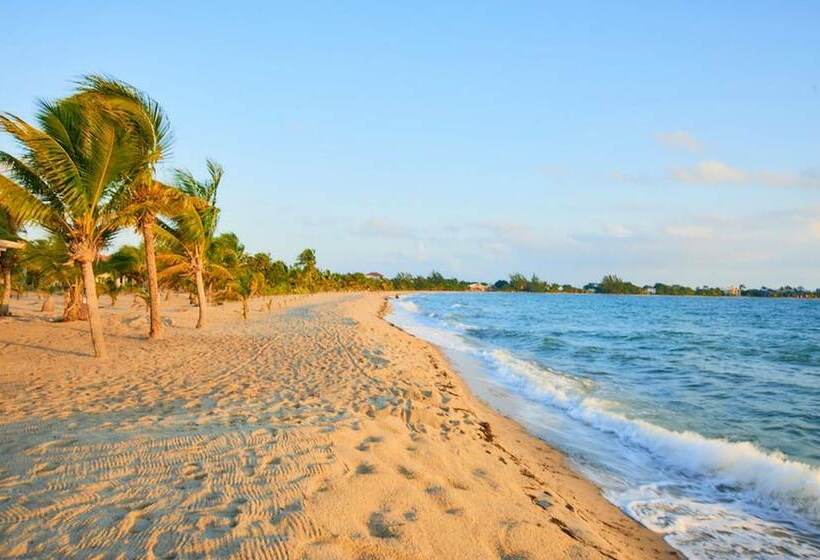 فندق The Ellysian Boutique