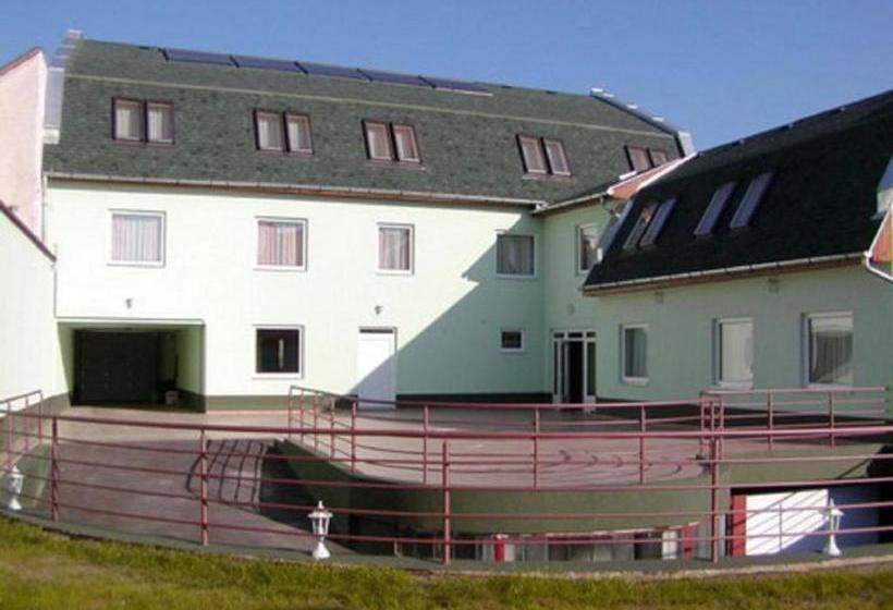 Bed and Breakfast Belvárosi Panzió