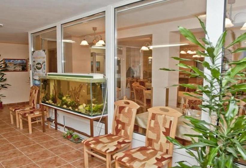 Bed and Breakfast Belvárosi Panzió