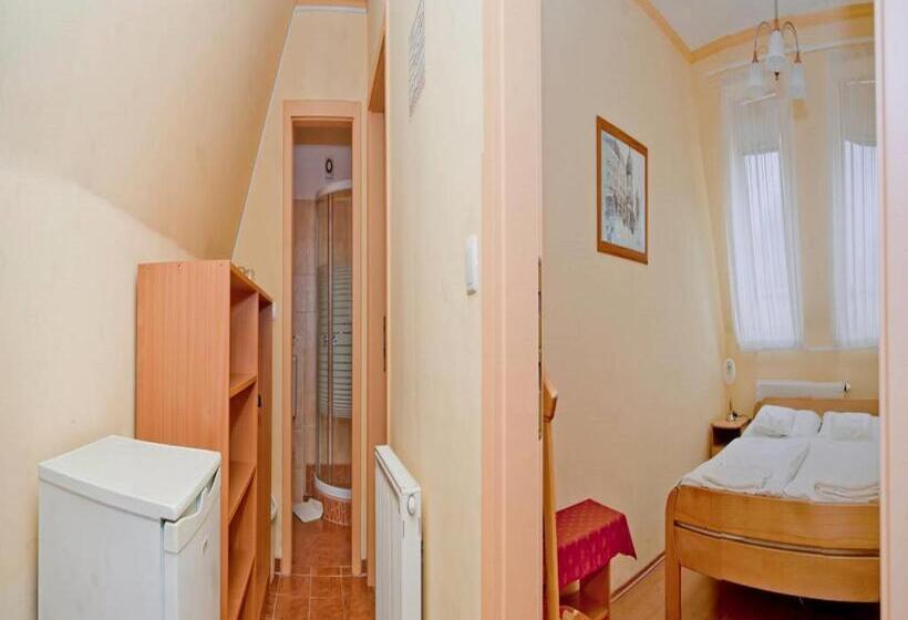 Bed and Breakfast Belvárosi Panzió