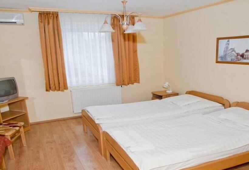 Bed and Breakfast Belvárosi Panzió