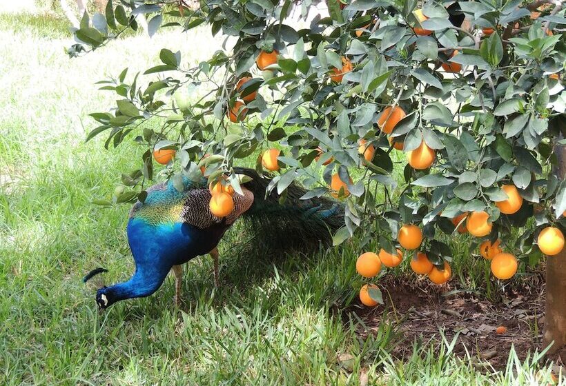 צימר Dar Al Hossoun