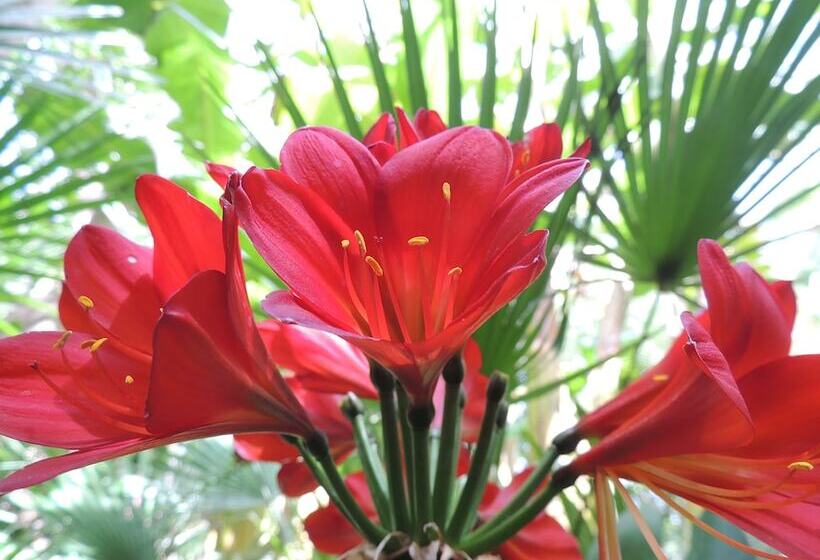 צימר Dar Al Hossoun