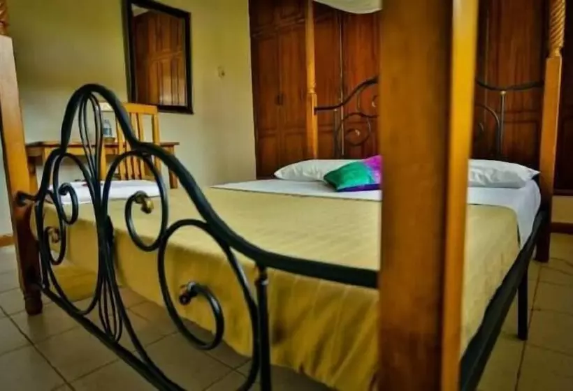 Bed and Breakfast Entebbe Vine Inn