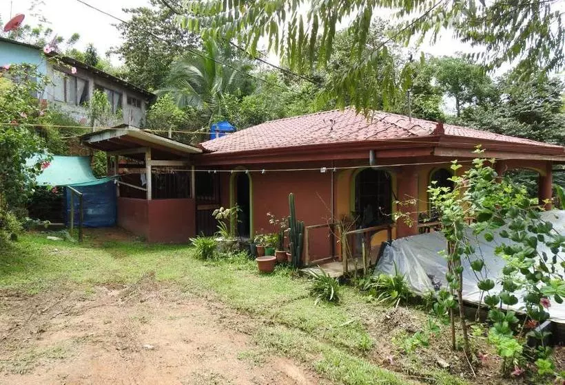 تختخواب و صبحانه Osa House   Drake Bay