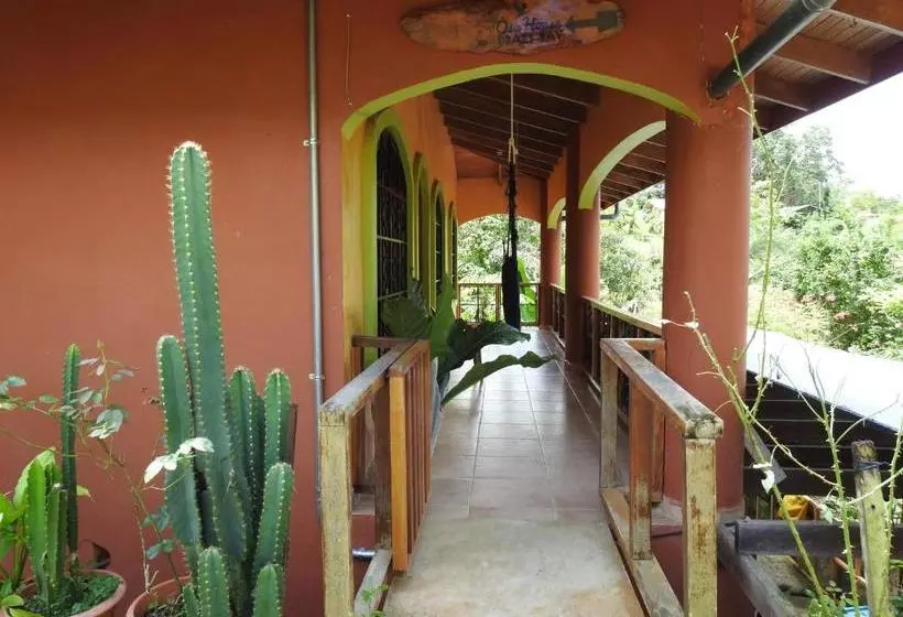 تختخواب و صبحانه Osa House   Drake Bay