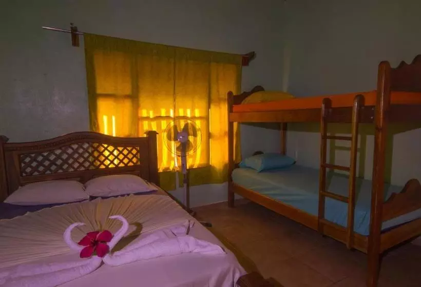 تختخواب و صبحانه Osa House   Drake Bay