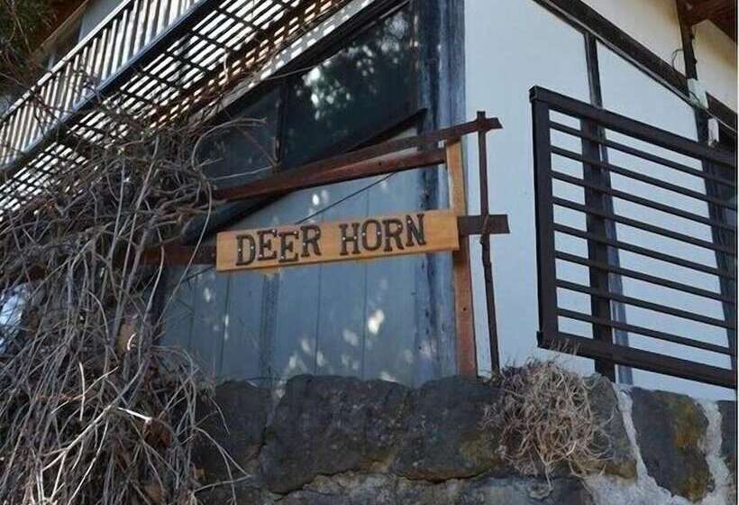 Deerhorn   Hostel