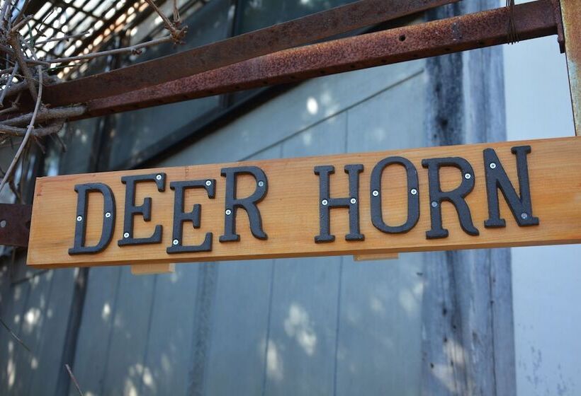 Deerhorn   Hostel