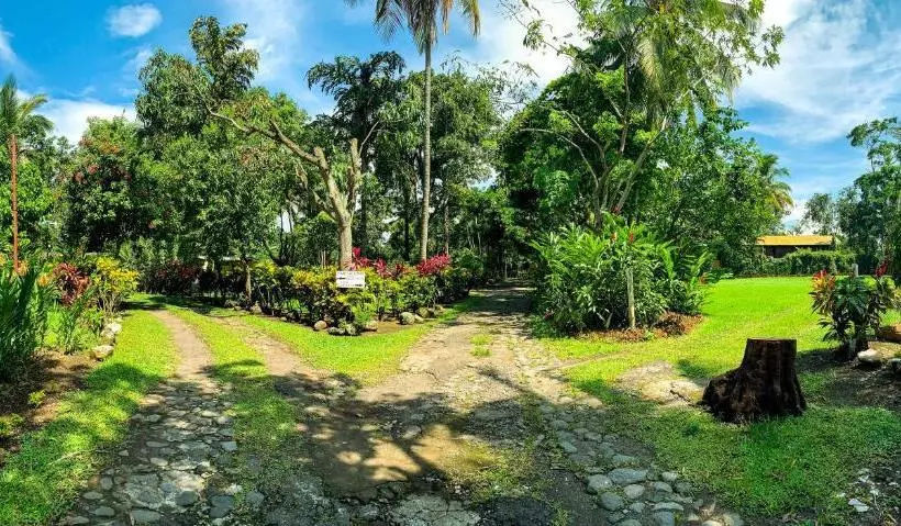 هتل La Colonia