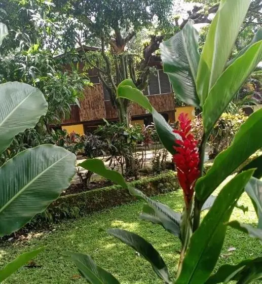 هتل La Colonia