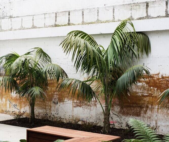 מוטל The Metrotel