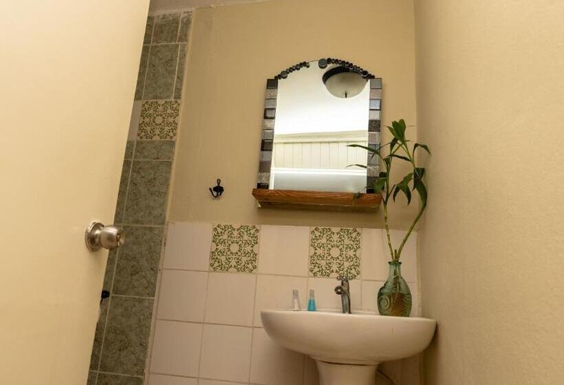 هتل Boutique Simona