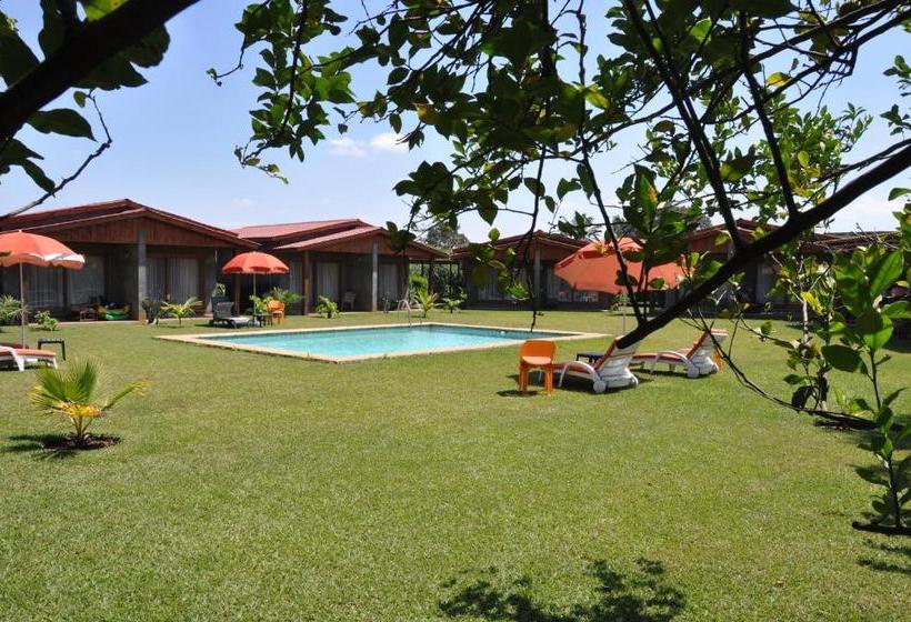 Planet Hotel Hollybum