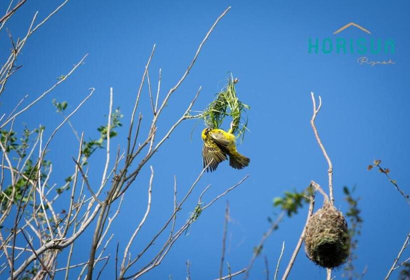 استراحتگاه Horisun