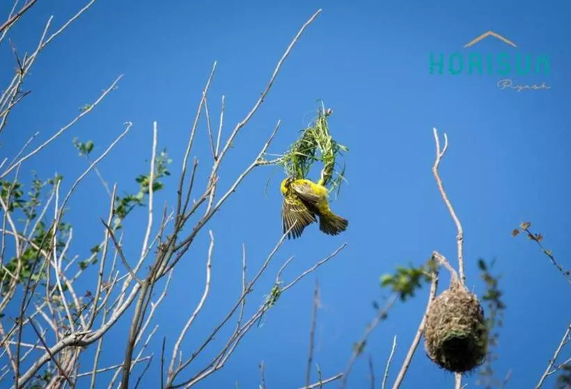 استراحتگاه Horisun