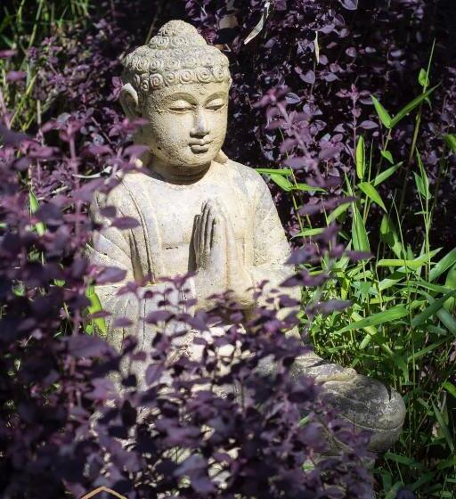 استراحتگاه Horisun