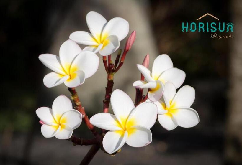 استراحتگاه Horisun