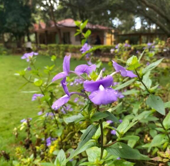 リゾートホテル Zeenath Taj Gardens