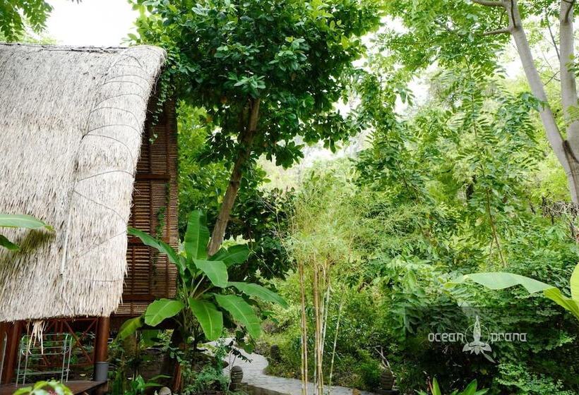 Общежитие Ocean Prana Village