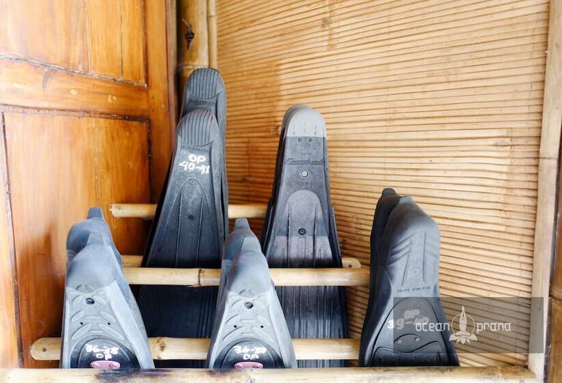 Общежитие Ocean Prana Village