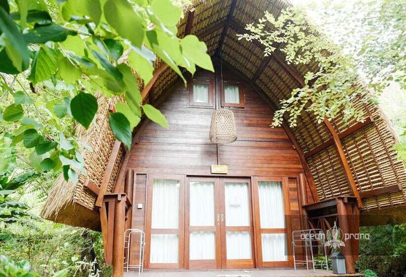 Общежитие Ocean Prana Village