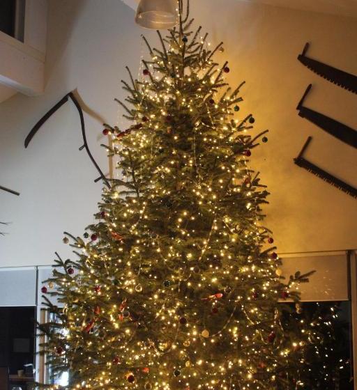 住宿加早餐  The Boe Rigg