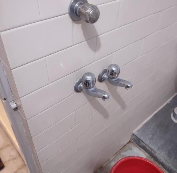 בית מלון כפרי Krishna Lodge