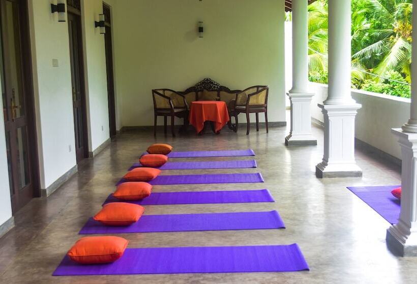 ホテル Boutique Villa Shanthi