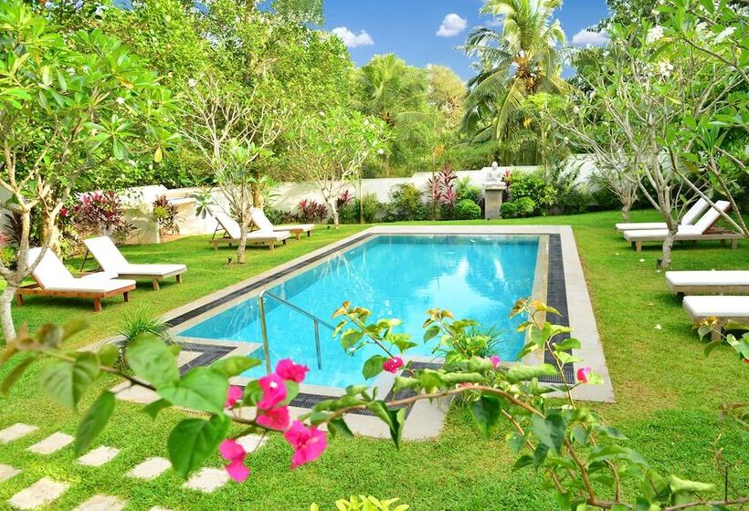 ホテル Boutique Villa Shanthi