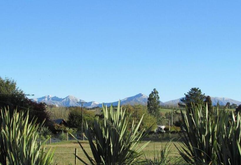 מוטל Black On Grey