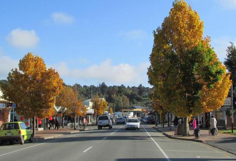 מוטל Black On Grey