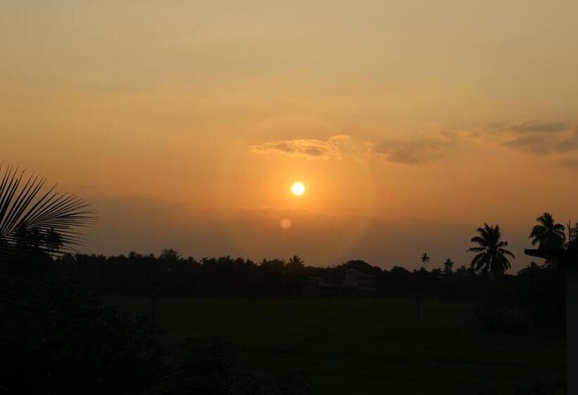 리조트 New Vilard