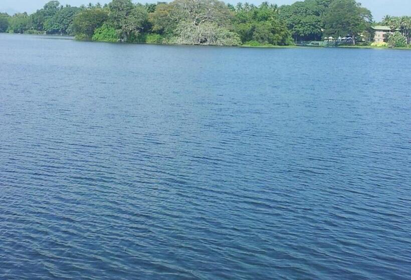 리조트 New Vilard