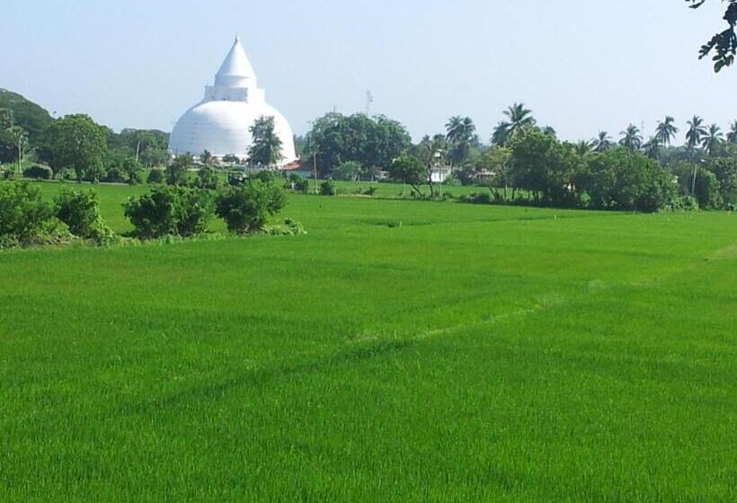 리조트 New Vilard