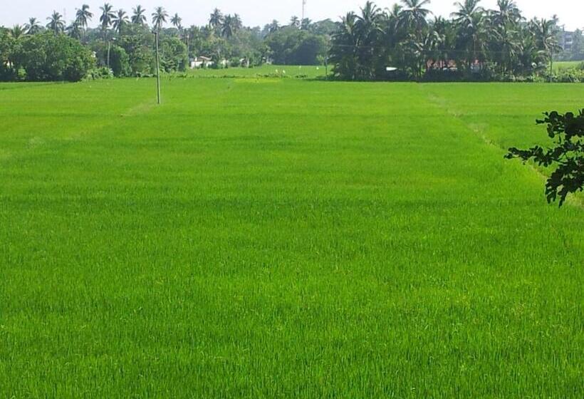 리조트 New Vilard